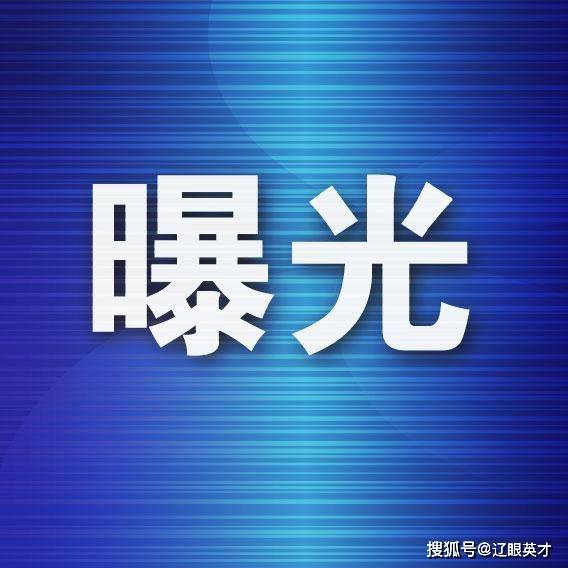 起网络文化市场典型案例九游会曝光！大连 